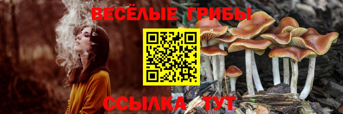 Галлюциногенные грибы мухоморы  Вход с VPN  Аргун 